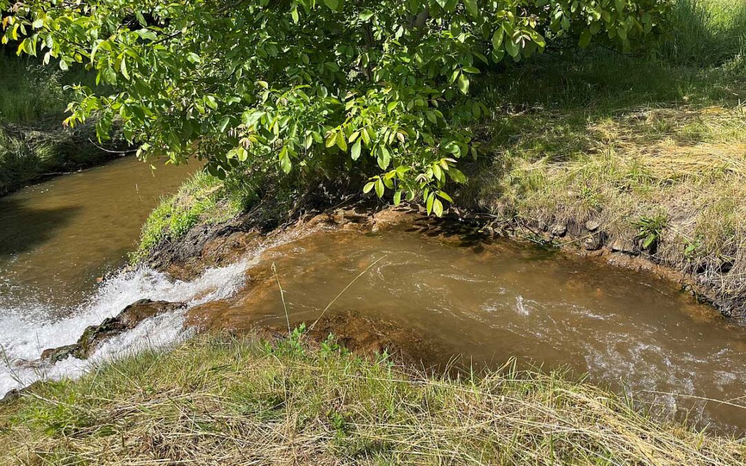Ustawa o rewitalizacji Odry pomoże ograniczyć zasolenie wód z kopalń